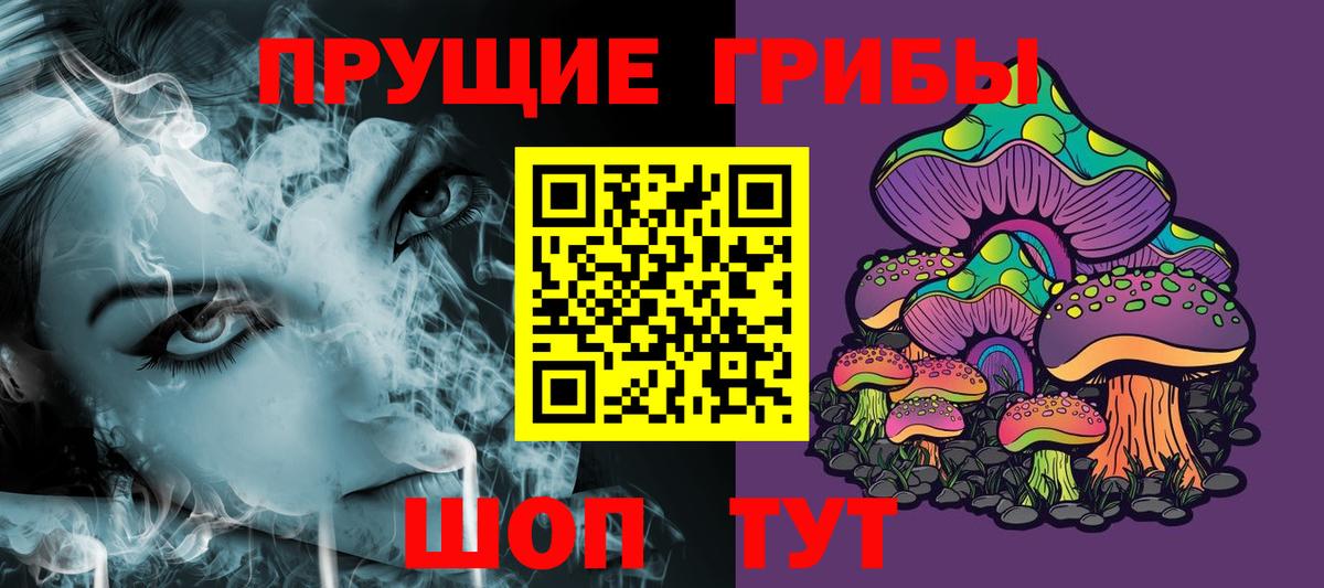 Галлюциногенные грибы прущие грибы  Галлюциногенные грибы мицелий  купить  сайты  Вход с VPN  Кашира 